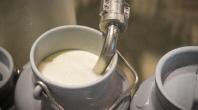 (Foto: Pixabay.com/Ehrecke